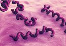Teste molecular amplia diagnóstico de sífilis 