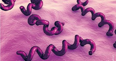 Teste molecular amplia diagnóstico de sífilis 