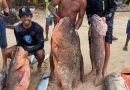 Torneio de pesca de fundo acontece pela primeira vez em Barra Grande dias 20 e 21