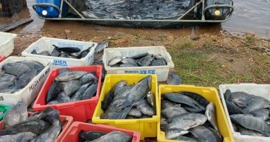 Pescadores artesanais comercializam cerca de dois milhões de reais na quaresma