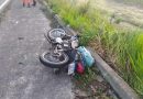 BR-101: Dois motociclistas morrem após colisão