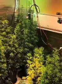 Valença: Polícia encontra laboratório de drogas