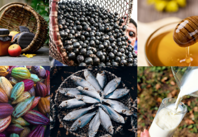 DIA MUNDIAL DA ALIMENTAÇÃO     MIDR fortalece cadeias produtivas regionais por meio das Rotas de Integração Nacional