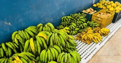 Prefeitura de Valença lança Programa de Aquisição de Alimentos Prefeitura de Valença lança Programa de Aquisição de Alimentos